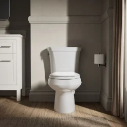 Two-piece elongated toilet, dual-flush