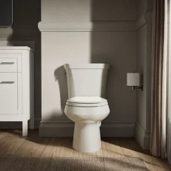 Two-piece elongated toilet, dual-flush