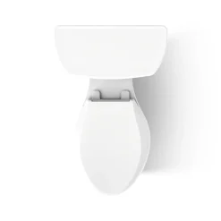 Two-piece elongated toilet, dual-flush