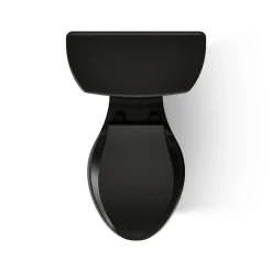 Two-piece elongated toilet, dual-flush