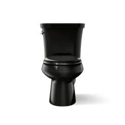 Two-piece elongated toilet, dual-flush