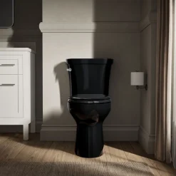 Two-piece elongated toilet, 1.6 gpf