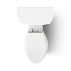Two-piece elongated toilet, 1.6 gpf