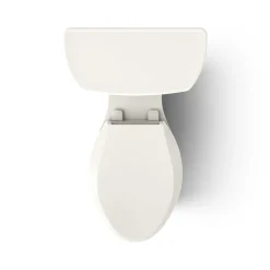 Two-piece elongated toilet, 1.6 gpf