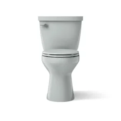 Two-piece elongated toilet, 1.6 gpf