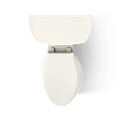 Two-piece elongated toilet, 1.6 gpf
