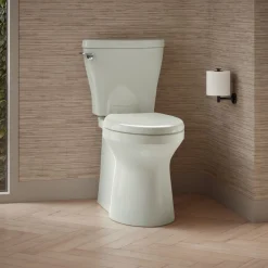 Two-piece elongated toilet with skirted trapway, 1.28 gpf