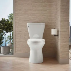 Two-piece elongated toilet with skirted trapway, 1.28 gpf