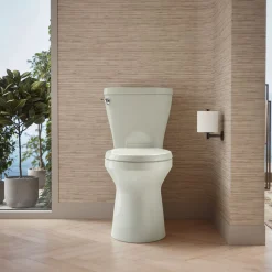 Two-piece elongated toilet with skirted trapway, 1.28 gpf