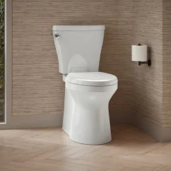 Two-piece elongated toilet with skirted trapway, 1.28 gpf