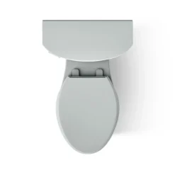 Two-piece elongated toilet with skirted trapway, 1.28 gpf
