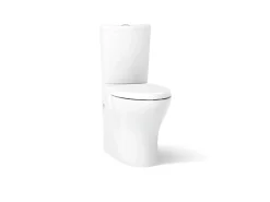 Two-piece elongated toilet with skirted trapway, dual-flush