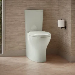 Two-piece elongated toilet with skirted trapway, dual-flush