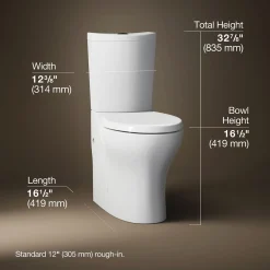 Two-piece elongated toilet with skirted trapway, dual-flush