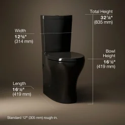 Two-piece elongated toilet with skirted trapway, dual-flush