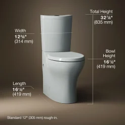 Two-piece elongated toilet with skirted trapway, dual-flush