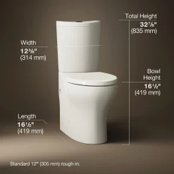 Two-piece elongated toilet with skirted trapway, dual-flush