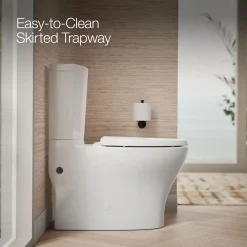Two-piece elongated toilet with skirted trapway, dual-flush