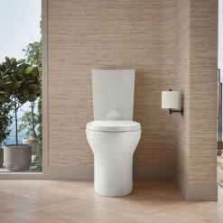 Two-piece elongated toilet with skirted trapway, dual-flush