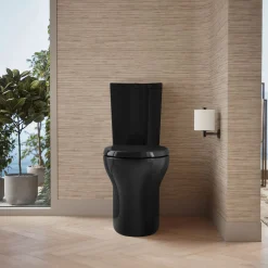 Two-piece elongated toilet with skirted trapway, dual-flush