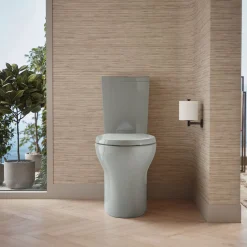 Two-piece elongated toilet with skirted trapway, dual-flush