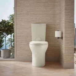 Two-piece elongated toilet with skirted trapway, dual-flush