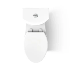 Two-piece elongated toilet with skirted trapway, dual-flush
