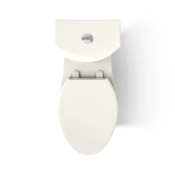 Two-piece elongated toilet with skirted trapway, dual-flush