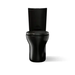 Two-piece elongated toilet with skirted trapway, dual-flush