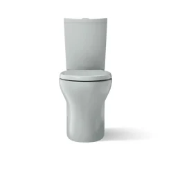 Two-piece elongated toilet with skirted trapway, dual-flush