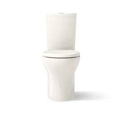 Two-piece elongated toilet with skirted trapway, dual-flush