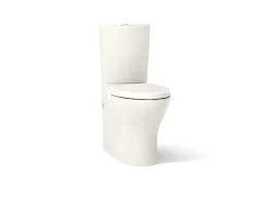 Two-piece elongated toilet with skirted trapway, dual-flush