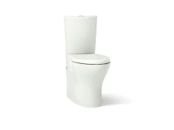 Two-piece elongated toilet with skirted trapway, dual-flush