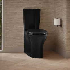 Two-piece elongated toilet with skirted trapway, dual-flush