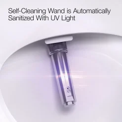 Wall-hung compact elongated smart toilet bowl, dual-flush