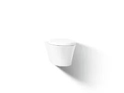 Wall-hung compact elongated toilet, dual-flush
