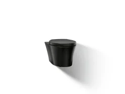 Wall-hung compact elongated toilet, dual-flush
