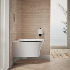 Wall-hung compact elongated toilet, dual-flush