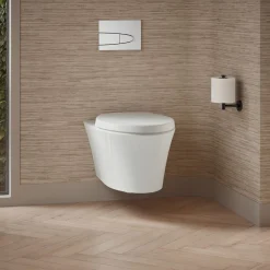 Wall-hung compact elongated toilet, dual-flush