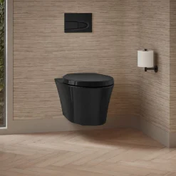 Wall-hung compact elongated toilet, dual-flush