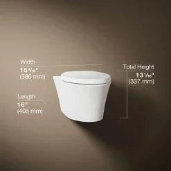 Wall-hung compact elongated toilet, dual-flush