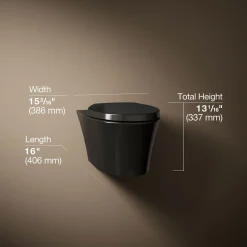 Wall-hung compact elongated toilet, dual-flush