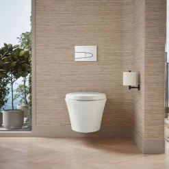 Wall-hung compact elongated toilet, dual-flush